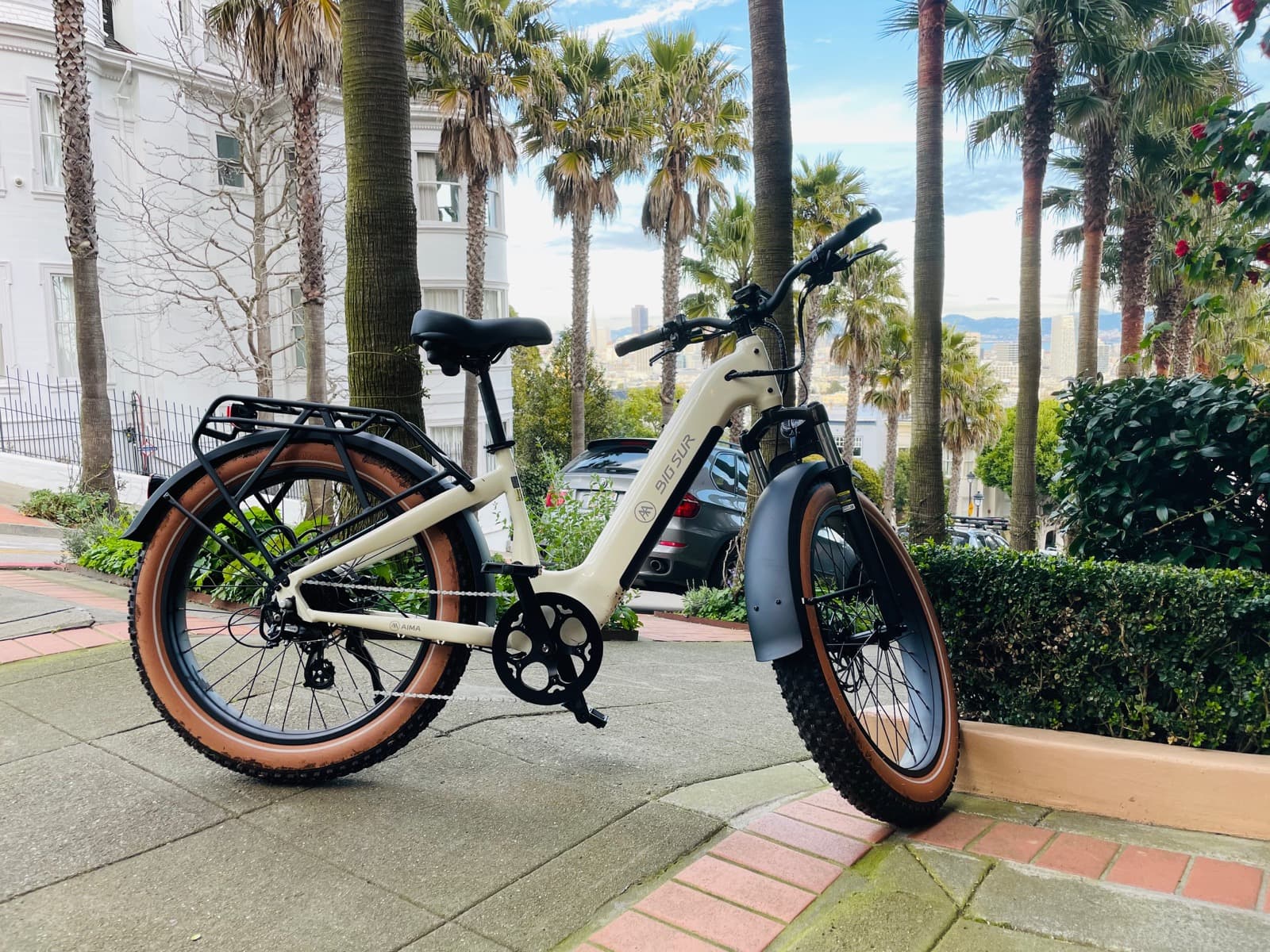 San Francisco eBike Tour photo 1