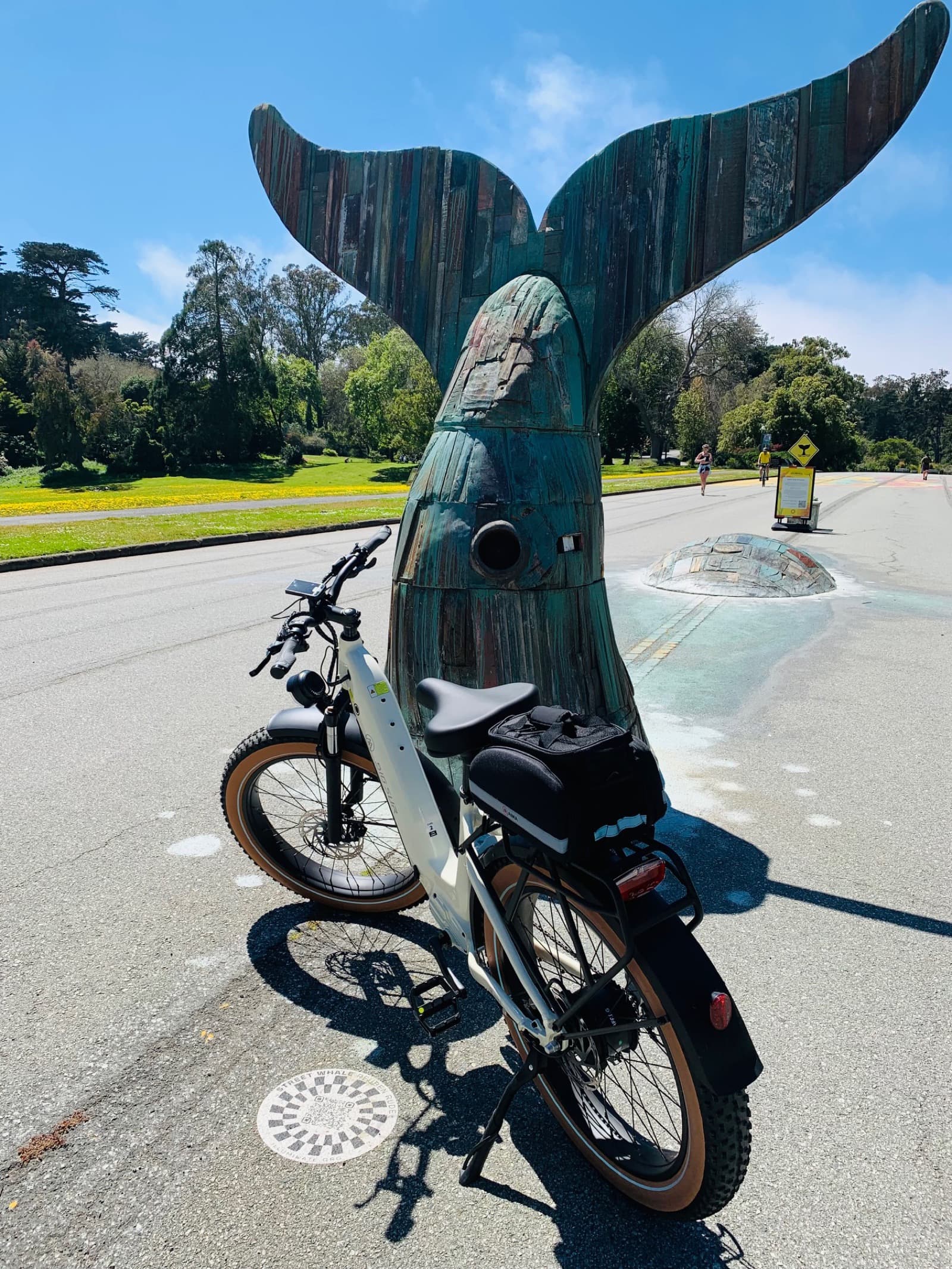 San Francisco eBike Tour photo 19