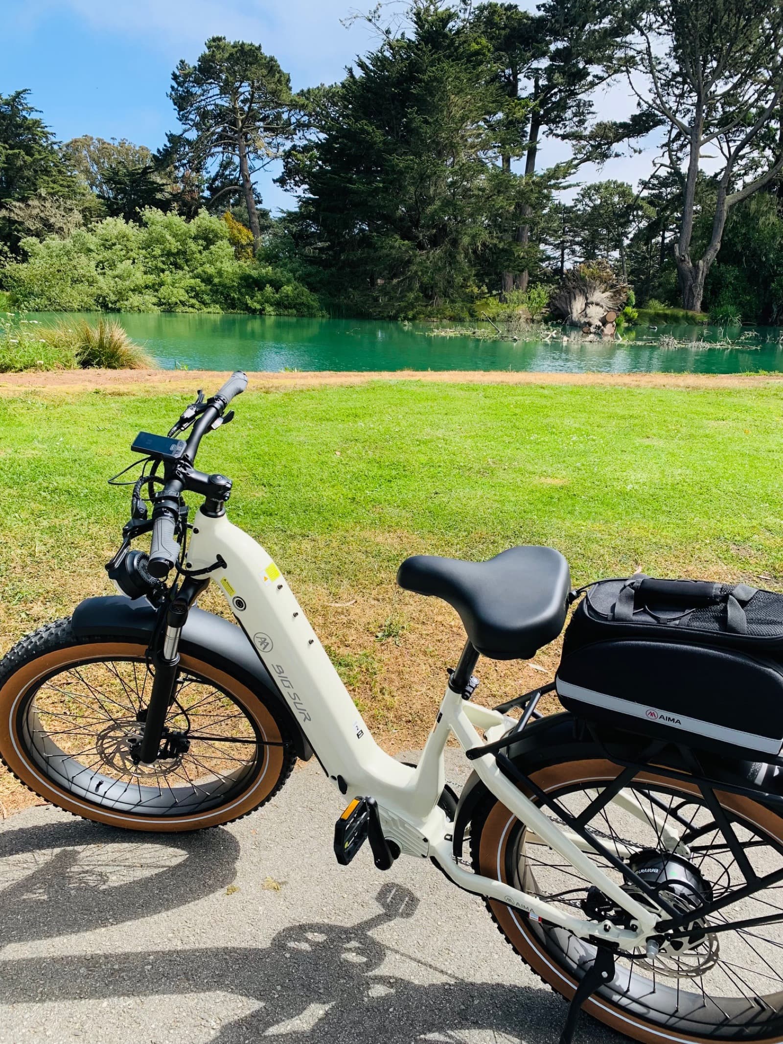 San Francisco Surf Experience